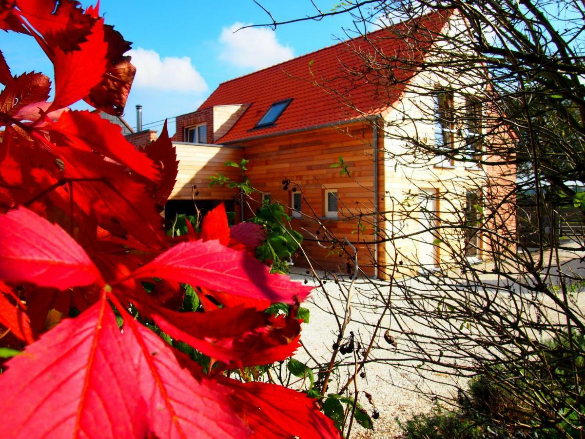 Archipel Holiday Cottage Ellezelles Dış mekan fotoğraf