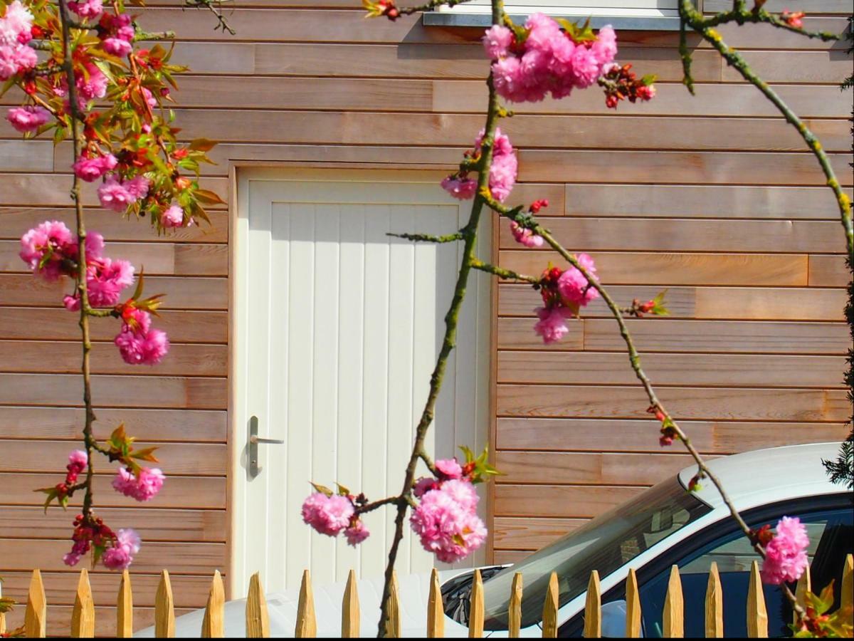 Archipel Holiday Cottage Ellezelles Dış mekan fotoğraf